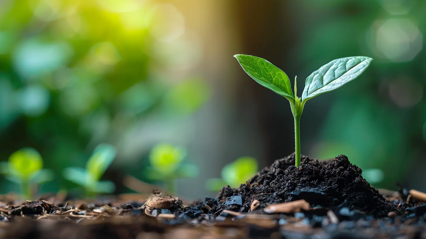 Creating a Value Proposition that Sets Your Business Apart