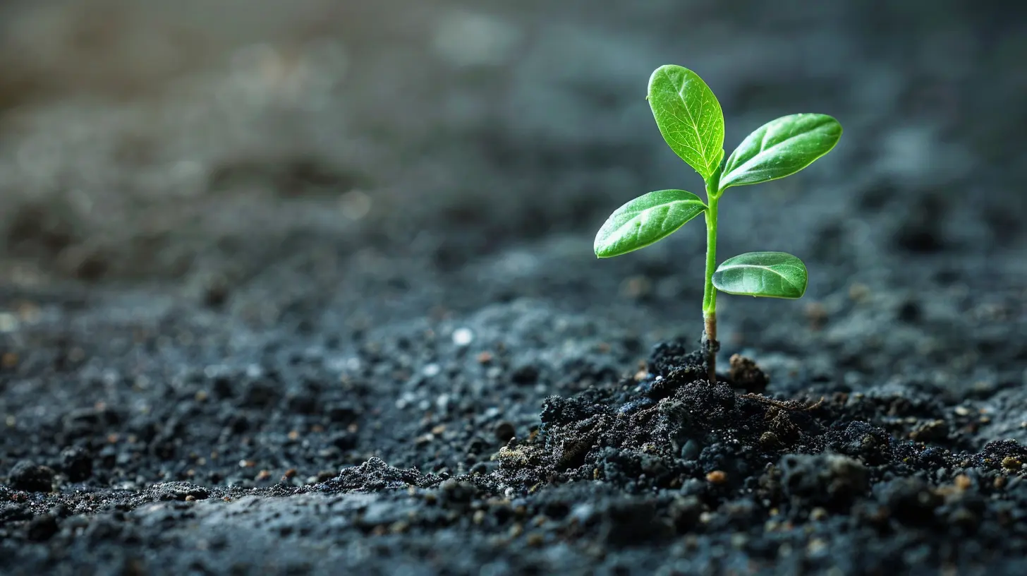 How Freelancers Can Leverage Feedback for Growth