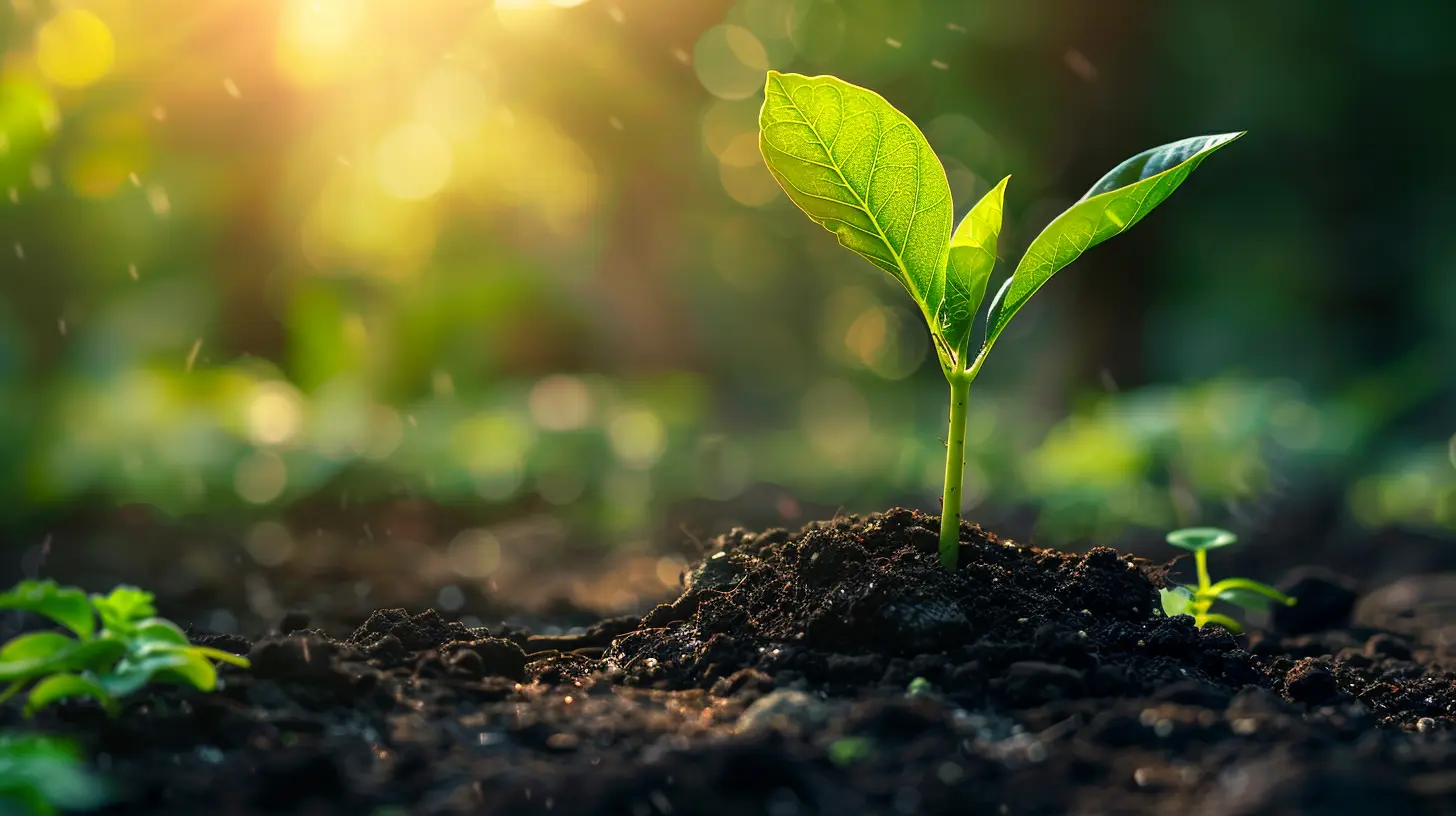 How to Choose the Right Partner for Sustainable Growth