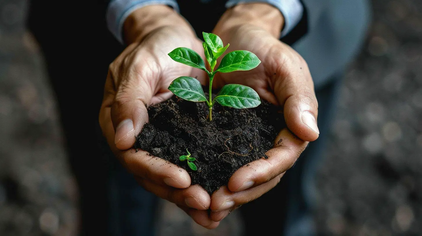 Sustainable Practices for a Franchise Business