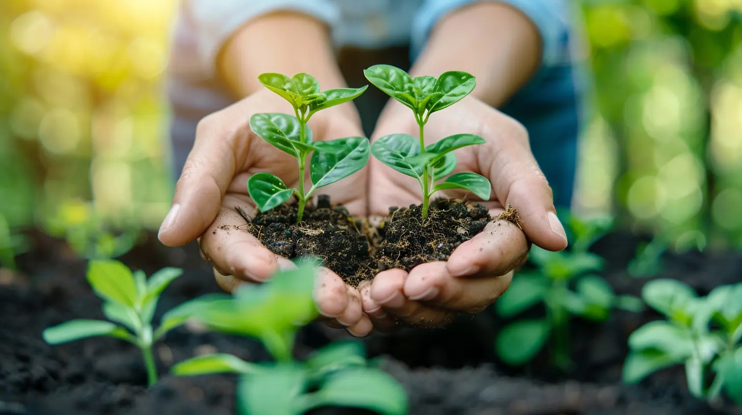 Sustainable Practices for a Franchise Business
