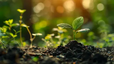 Can Green Bonds Finance Your Sustainability Initiatives?
