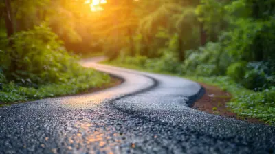 Creating a Sustainability Roadmap: Key Steps to Success