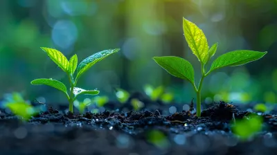 Creating a Sustainable Business Model for Long-Term Success