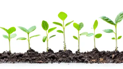How to Align Your Sustainability Goals with Business Growth