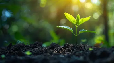 How to Choose the Right Partner for Sustainable Growth