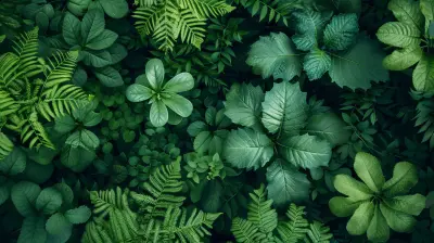 Integrating Biodiversity into Corporate Sustainability Strategies