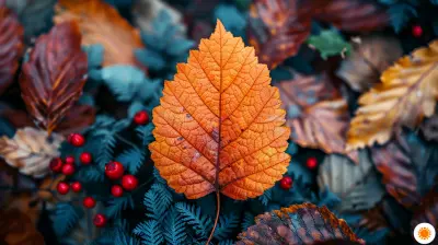 Leveraging Seasonal Trends for More Effective Email Campaigns