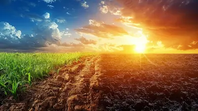 The Economic Impact of Climate Risks on the Agriculture Sector
