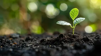 Understanding Franchise Financing: Where to Begin