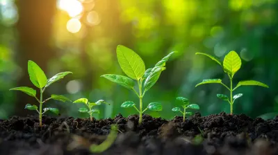 Why Representation at the Top Still Matters in 2027