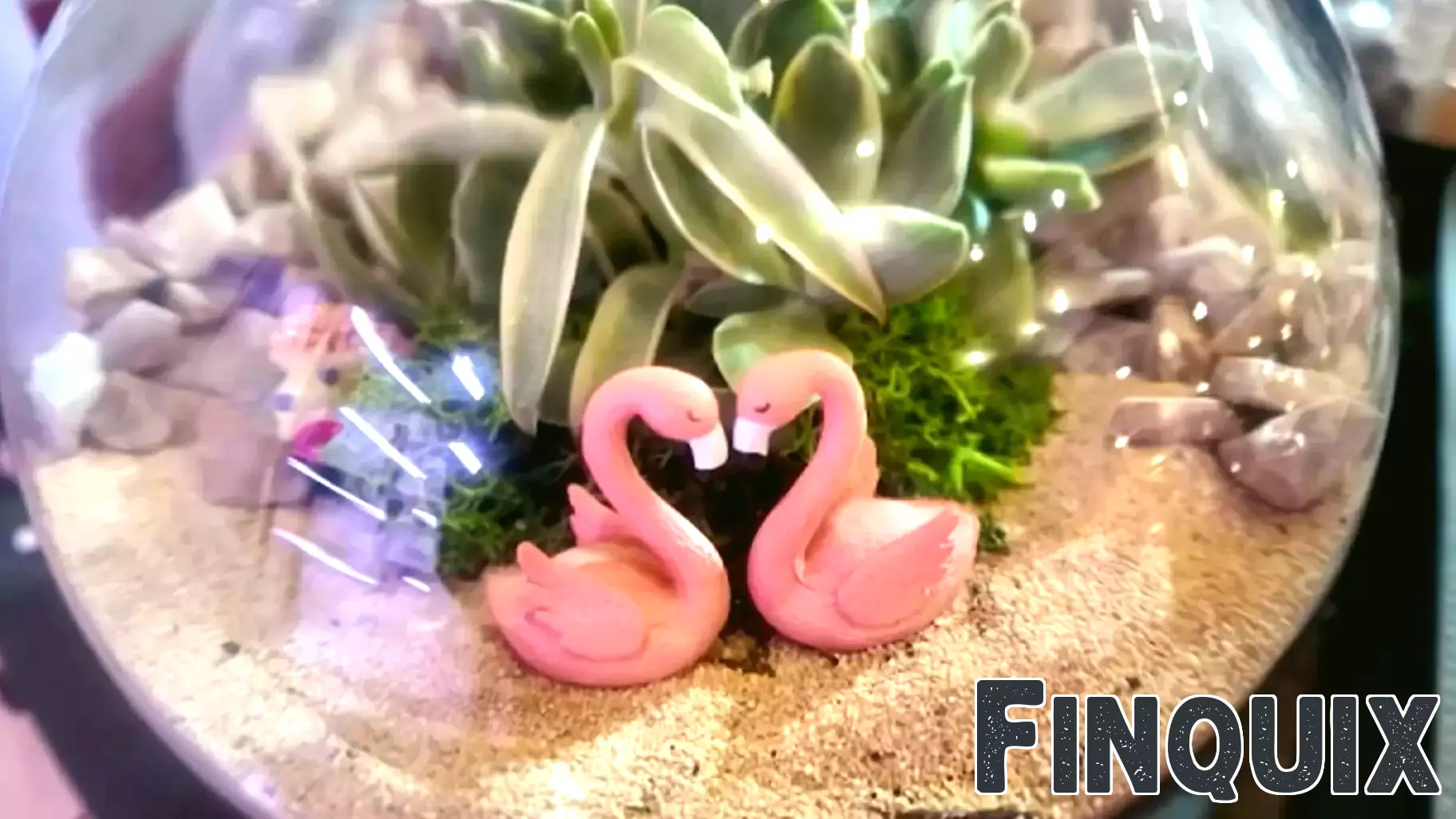 A Blooming Business Aims to Inspire Plant Enthusiasts in Old Town Clovis