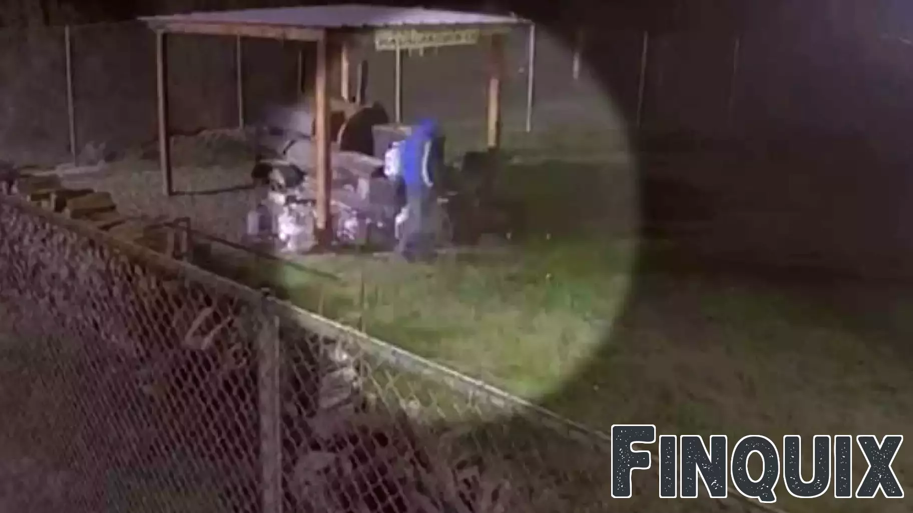 Community Rallying Behind Houston Barbecue Owner After Theft