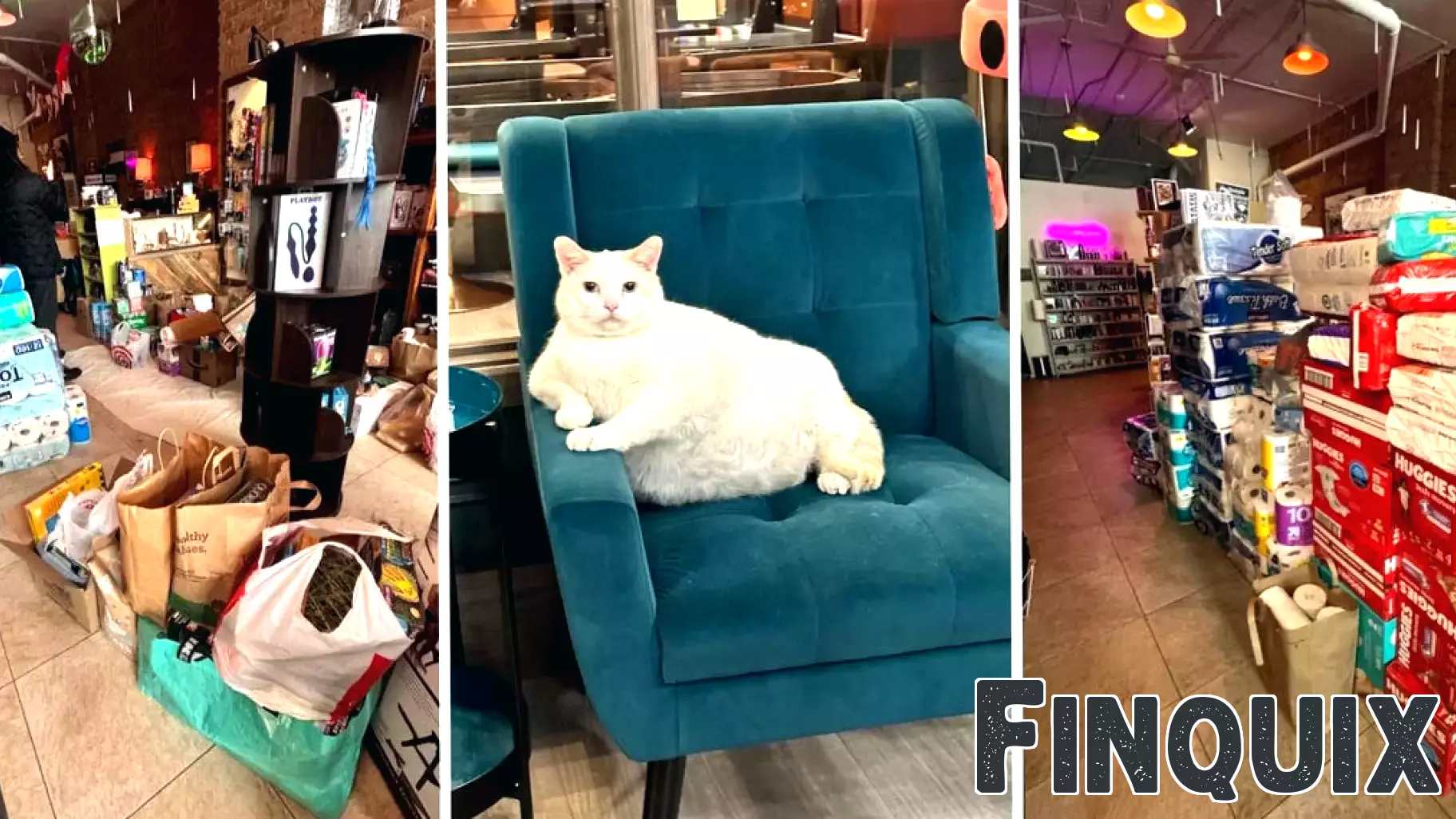 ICE chaos, boycott plan turn Minnesota retailers into community spaces