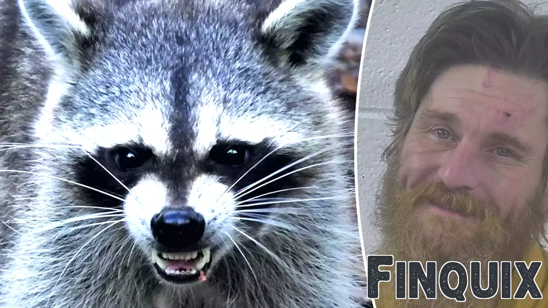 Kentucky Man Arrested for Releasing Rabid Raccoon into Local Business