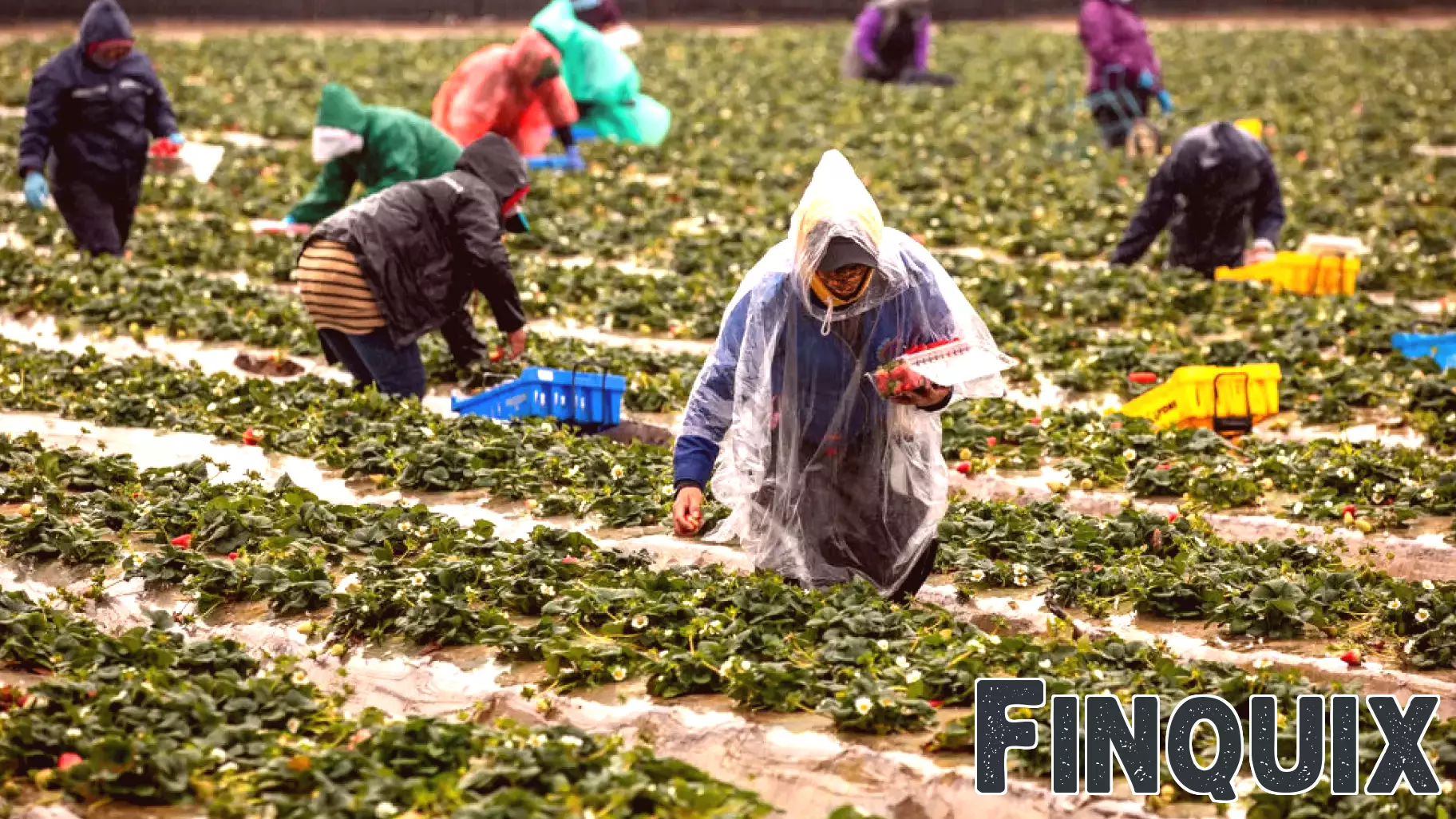 Recognizing Excellence in Business Reporting: Multiple Awards for Climate News Projects