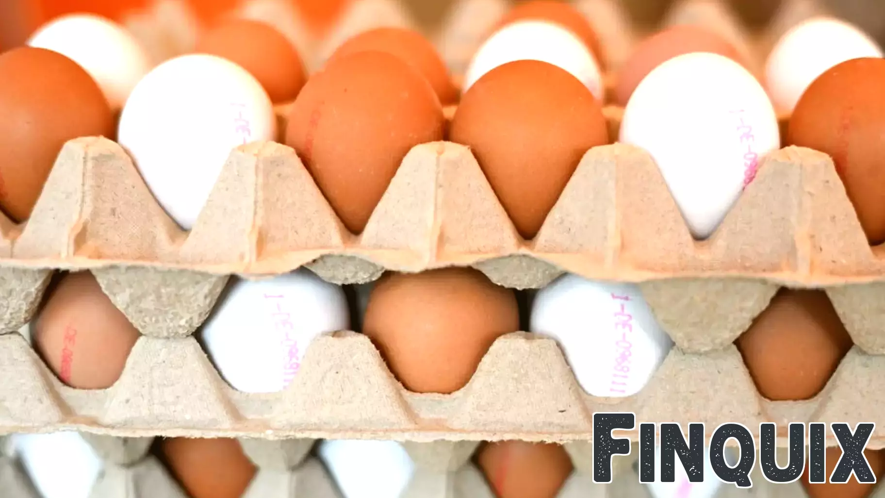 US Turns to Denmark for Assistance Amid Egg Shortage