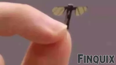 Experts Analyze China's Innovative Mosquito-Style Spy Drone