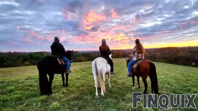 New business offers guided horseback rides across 1 of Lehigh Valley’s highest plateaus