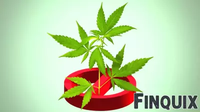 North Carolina's Flourishing Hemp Sector Faces Uncertainty Amid Government Shutdown Bill