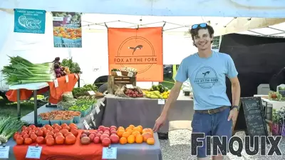 Promises of Financial Assistance for Energy Upgrades to Farmers and Small Businesses