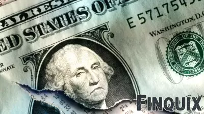 The Decline of the US Dollar: Insights from Experts