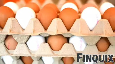US Turns to Denmark for Assistance Amid Egg Shortage